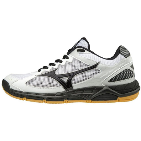 mizuno wave 43